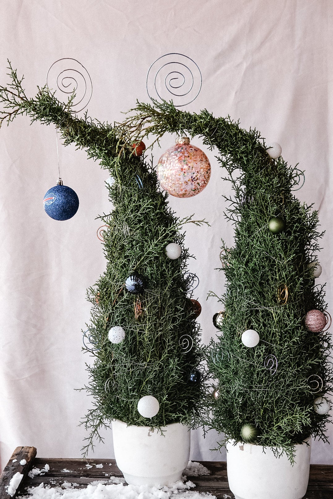 Whoville Trees Floral Farm and Design Studio Wild Blossom Hollow